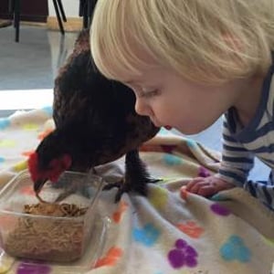 Sessions for pre-schoolers