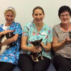 Sessions in hospitals