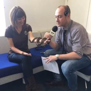 Guest on BBC Radio Kent in 2016 and 2017