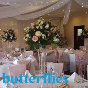 dusky pink full set up