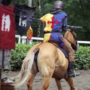 Jousting School 