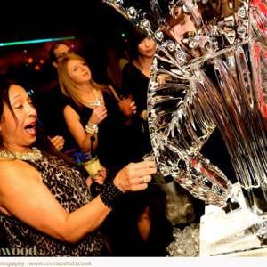 Vodka Luge Martini Glass 