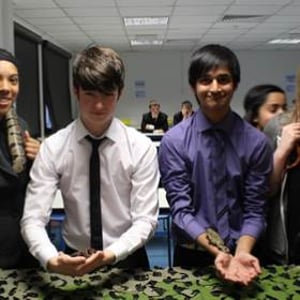 toad-spider-snakes-being-handled-by-6-form