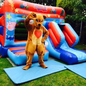 Pig Castle and Bear Mascot Costume