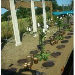 Ancient Greece themed party