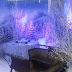 winter wonderland themed party