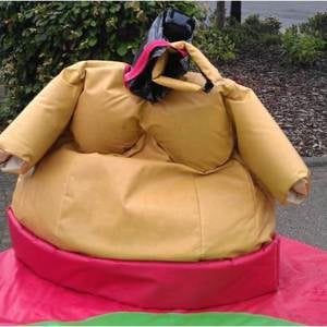 Sumo Suits