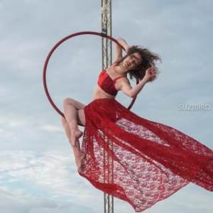 Aerial Hoop