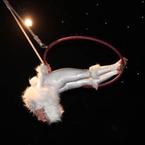 Aerial Hoop- Christmas