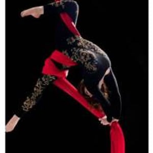 Circus & Aerial Silks