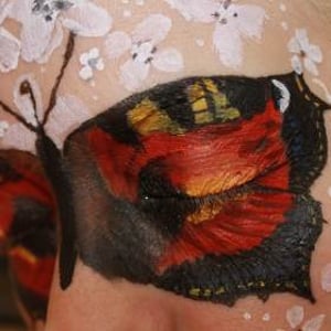 Butterfly 
