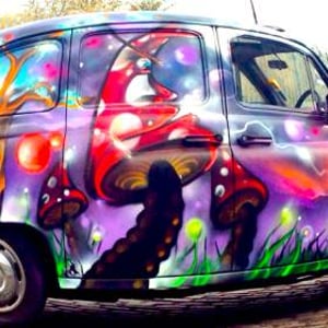 Enchanted Forest Taxi Photo Booth 