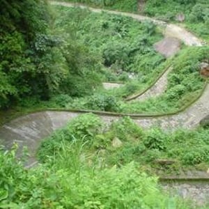 The Sacks of Coffee Come Down the Mountains ...