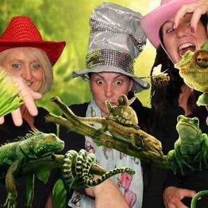 Green Screen Photo Booth Hire