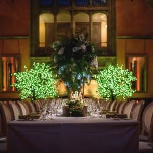 Cowdray House  with our new uplighters and Pin Spots 5th April 2018 3