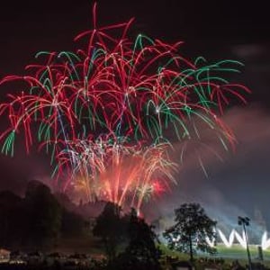 Firework Champions Winning Display
