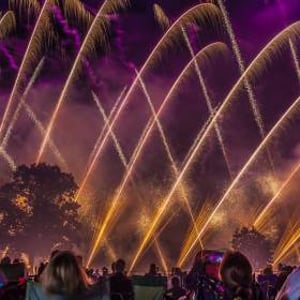 Dave Carter Photography 10