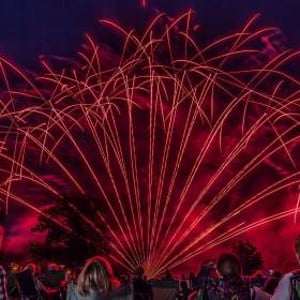 Dave Carter Photography 4