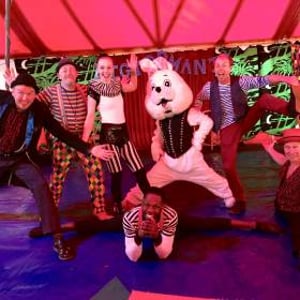 circus show hire