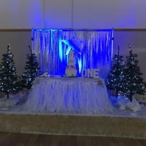 Winter Wonderland Feature Table hire in Hertfordshire, Bedfordshire, Essex & surrounding areas. Perfect for birthdays or corporate events