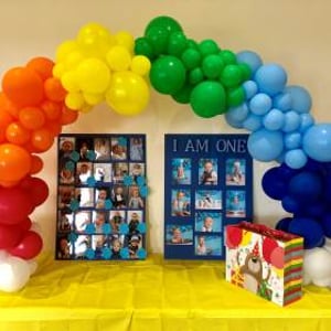 Organic Balloon Garland in Hertfordshire, Bedfordshire, Essex & surrounding areas. 