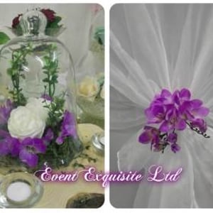 1486062_965340480214922_2509574977191728433_o