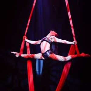 silks