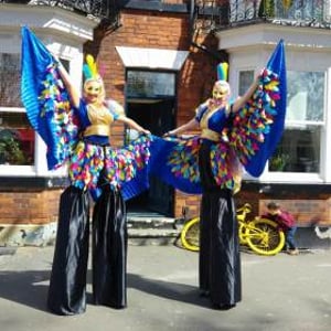 13112424_10156855619575402_801748694_o