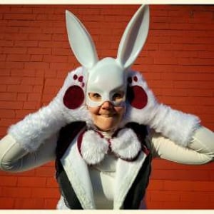 white rabbit photos (1)