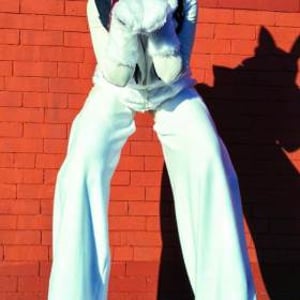 white rabbit photos (2)