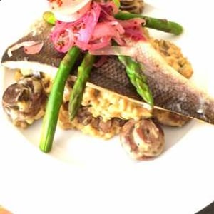 Seabass risotto