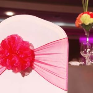 Chair Covers and Organza Sash