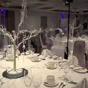 White Manzanita Style Crystal Trees