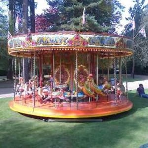 M Gills juvenile carousel