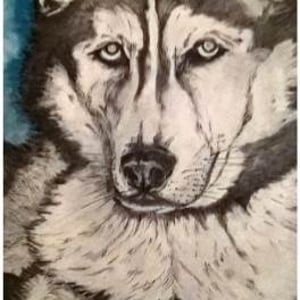 PicturesLab_AutoAdjust_FX_2017-03-23_11-37-11