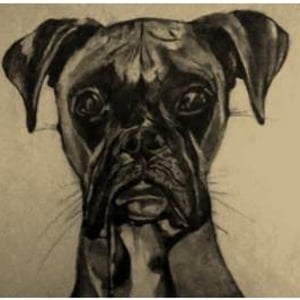 PicturesLab_Sepia_FX_2017-02-25_23-26-06