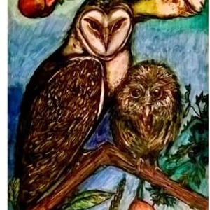 PicturesLab_Manual_FX_2017-02-21_00-42-09