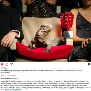 Our_BAFTA_Iguana__2017_BAFTA_AWARDS