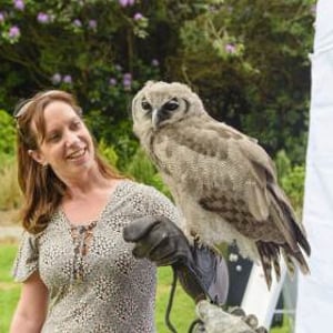 Handle Birds of Prey