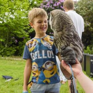 Handle Birds of Prey