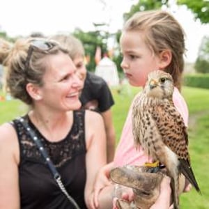 Handle Birds of Prey