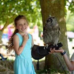 Handle Birds of Prey