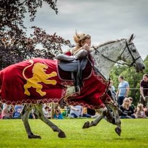 Flavours of Fingal Country Show Dublin Ireland - The Cavalry of Heroes Medieval Jousting Horse Stunt Show - Golden Knight Marc Lovatt Vault Trick Riding Sequence 2