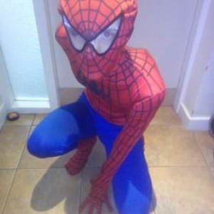 Spiderman1