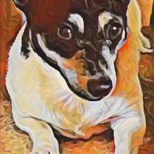 PicsArt_01-06-02.29.40