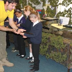 Bugfest school visits