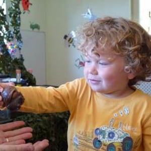 Bugfest pre-school visits