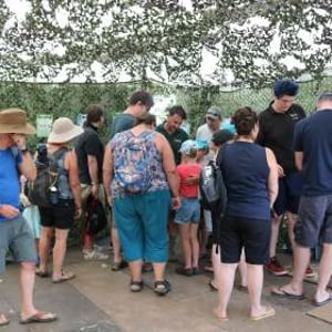 Bugfest generates a lot of interest.