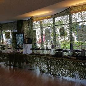 Bugfest Bournemouth Uni display 2019