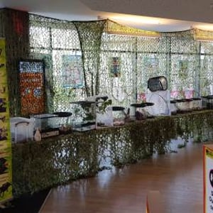 Bugfest Bournemouth Uni display 2019